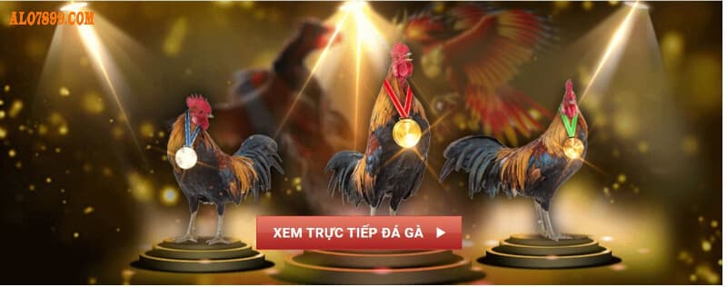 Trực tiếp mọi giải đá gà lớn nhỏ