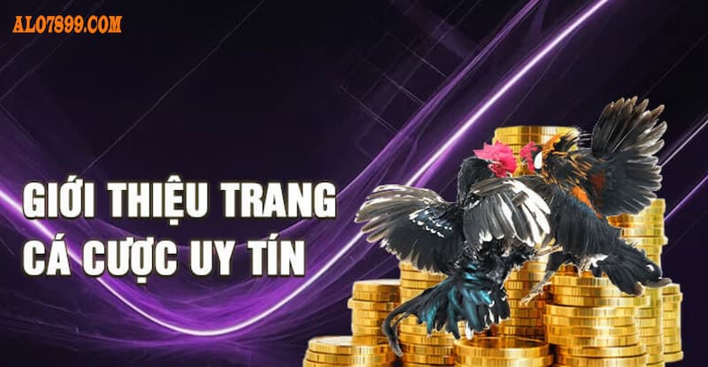 Hệ thống bảo mật hoạt động ổn định