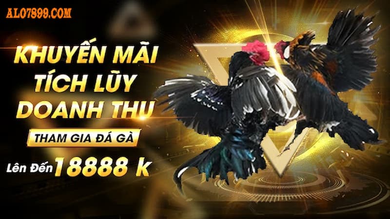 Khuyến mãi dành riêng cho kê thủ