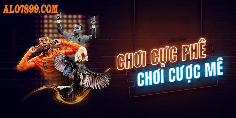 Ưu đãi riêng cho VIP