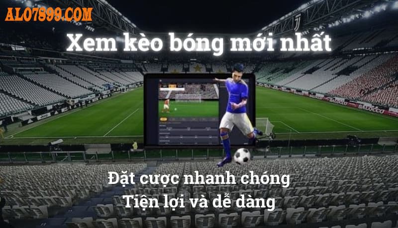 Sân chơi được nhiều người chơi yêu thích