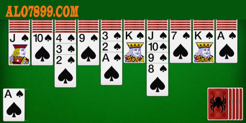 Quy trình tham gia chơi xếp bài nhện chi tiết nhất